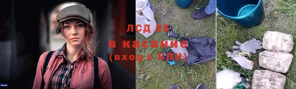 PSILOCYBIN Армянск