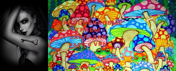 PSILOCYBIN Армянск