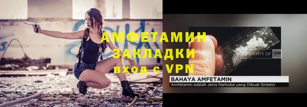 молекула духа Осташков
