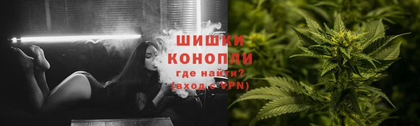 PSILOCYBIN Армянск