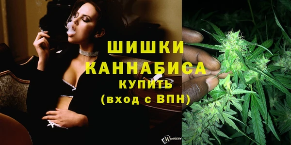 PSILOCYBIN Армянск